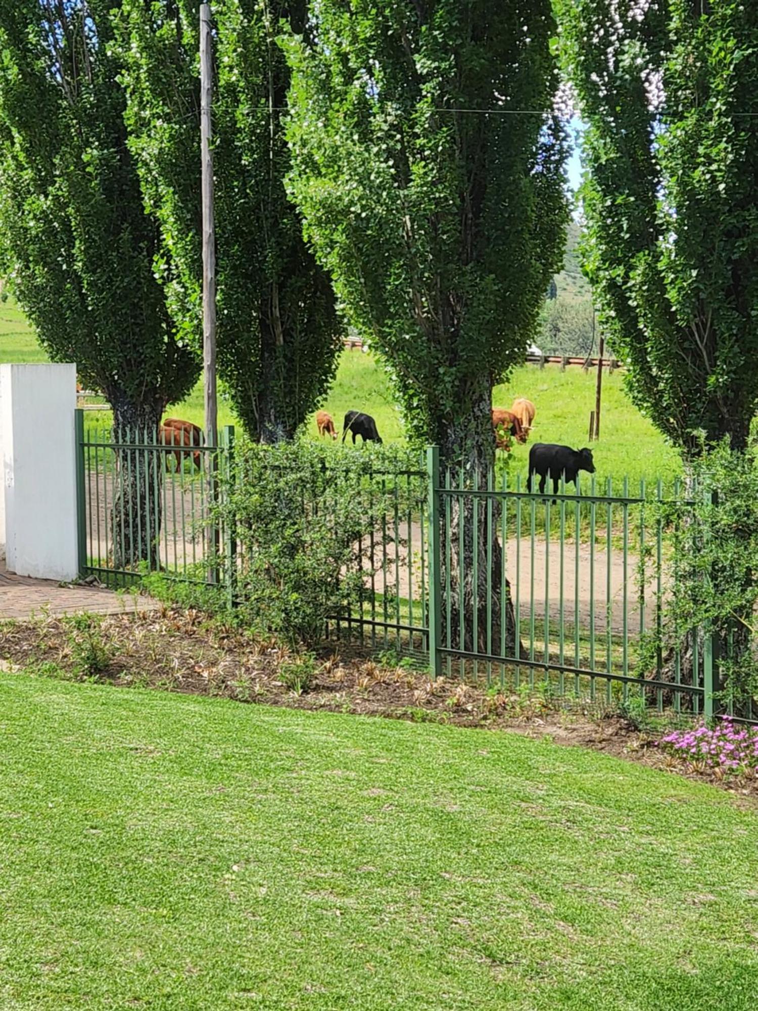 Clarens, Paddocks 23 Villa Exterior photo